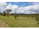 Lot 44 George Street, Penrose NSW 2579