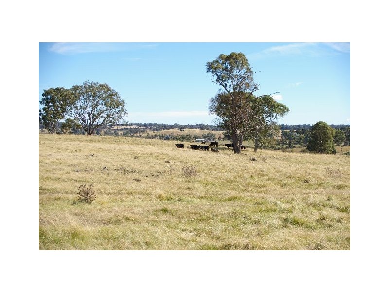 157 Richards Lane, Joadja NSW 2575