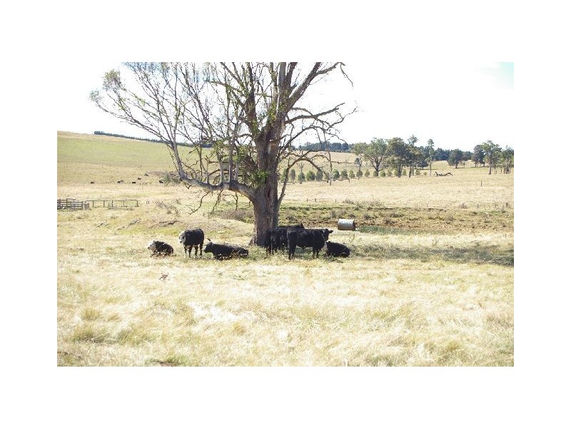 157 Richards Lane, Joadja NSW 2575