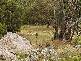 Lot 11 Tugalong Road, Canyonleigh NSW 2577