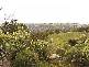 Lot 11 Tugalong Road, Canyonleigh NSW 2577