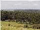 Lot 2 Sheepwash Road, Avoca NSW 2577