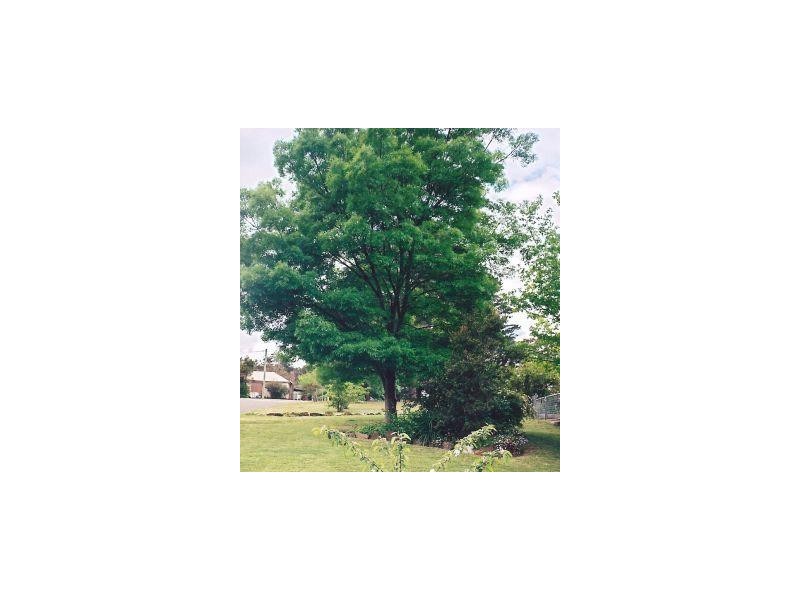 5 Oxley, Berrima NSW 2577