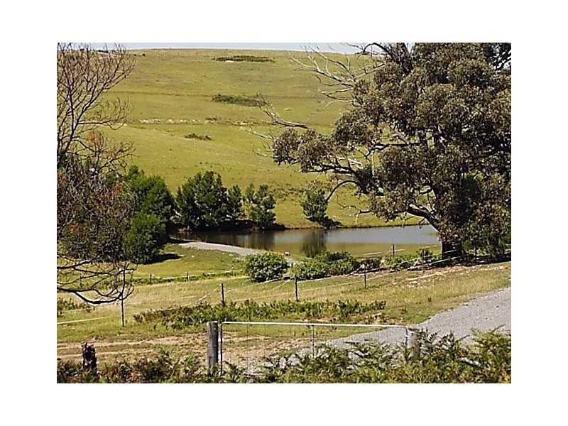 Lot 613 Redhills Road, Paddys River NSW 2577