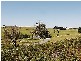 Lot 613 Redhills Road, Paddys River NSW 2577