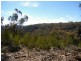 Lot 2 Joadja Road, Joadja NSW 2575