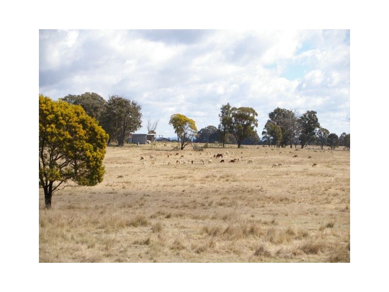 Canyonleigh NSW 2577