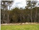 Tallong NSW 2579