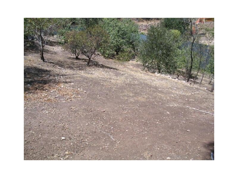 41 Trumara Avenue Lot 102, Marino SA 5049