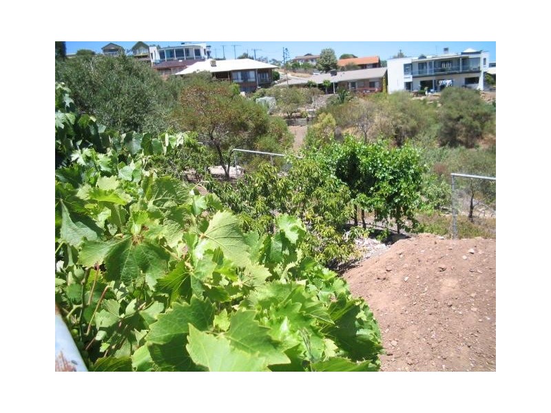 41 Trumara Avenue Lot 102, Marino SA 5049