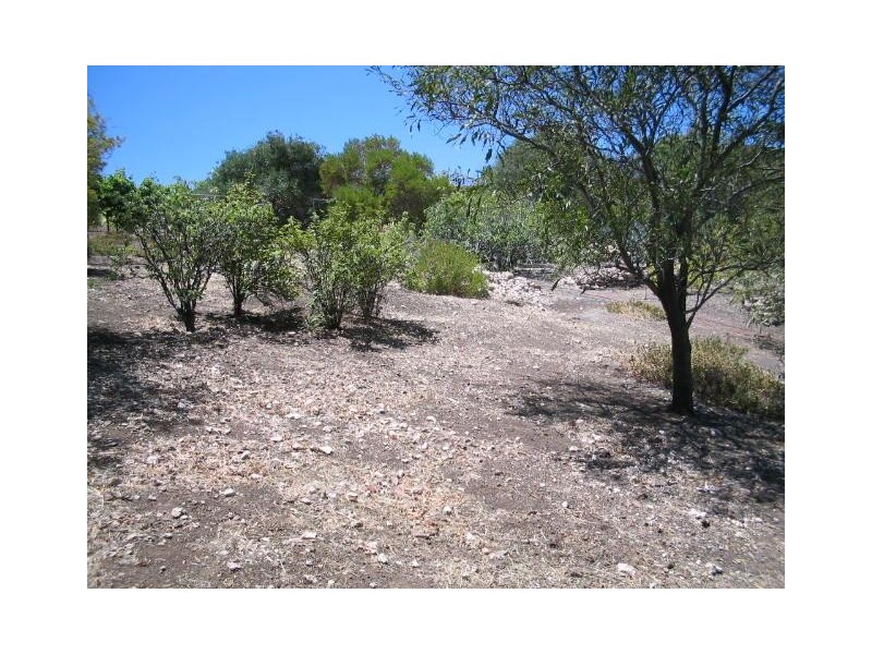 41 Trumara Avenue Lot 102, Marino SA 5049