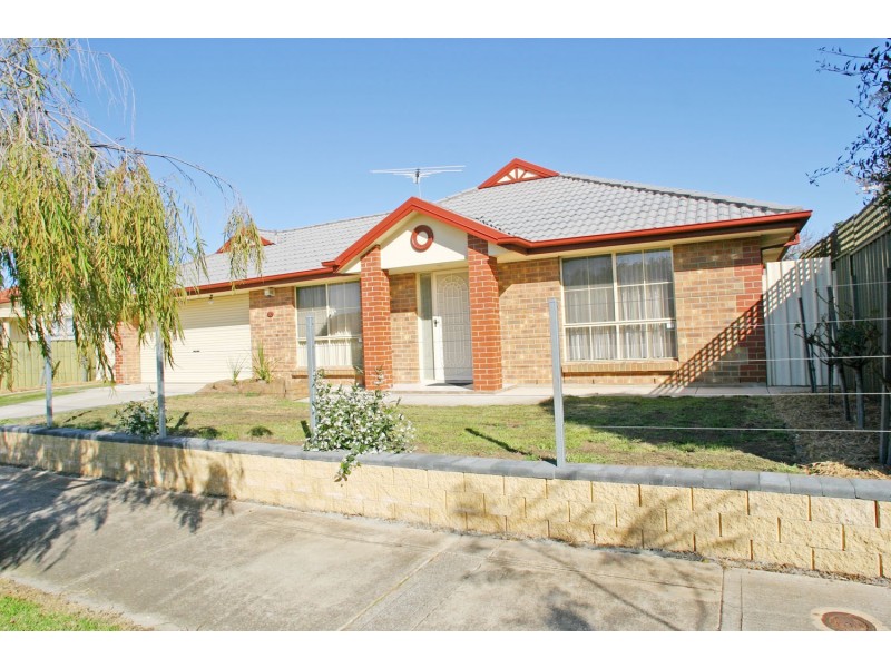 31 Enfield Avenue, Blair Athol SA 5084