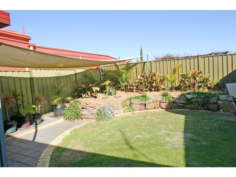 31 Enfield Avenue, Blair Athol SA 5084