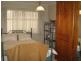 59 Perkins Avenue, Enfield SA 5085