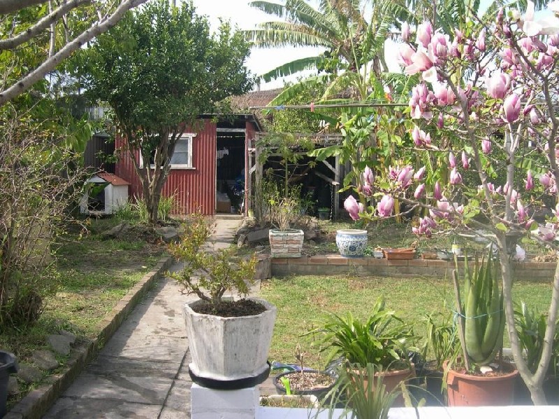 Blackwood Avenue, Dulwich Hill NSW 2203