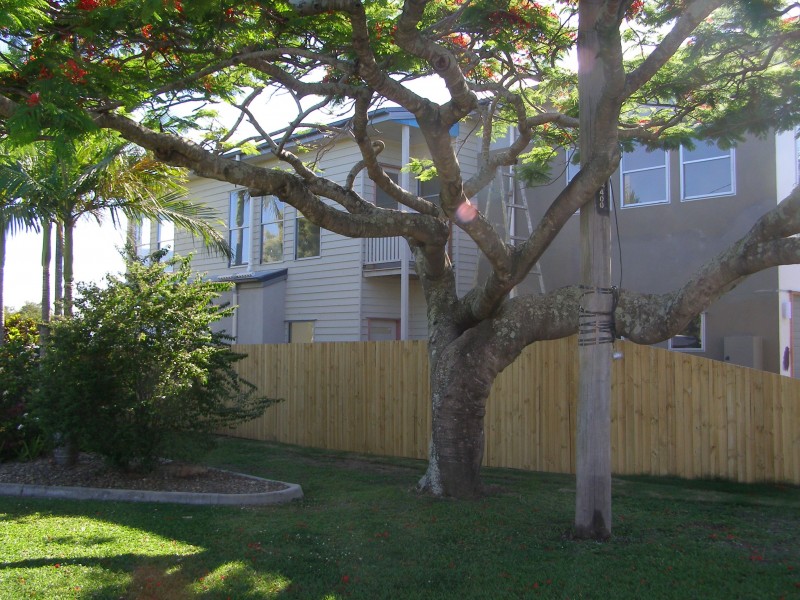 20 Baringa St, Clontarf QLD 4019