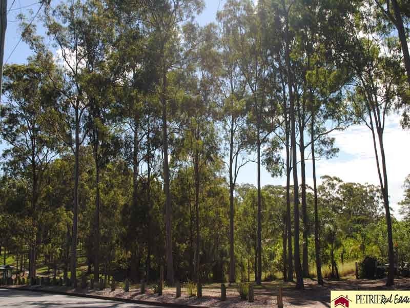 46 Kurwongbah Dr, Petrie QLD 4502