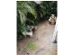 22 Champaign St, Petrie QLD 4502