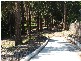 Beecroft NSW 2119