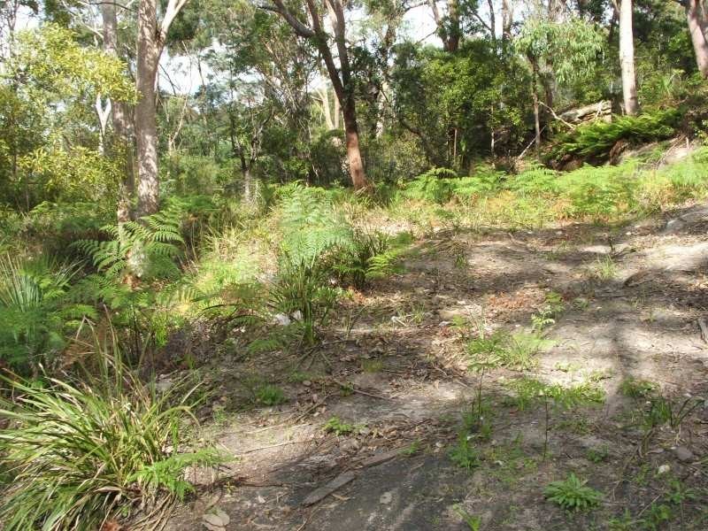 Sutherland Road, Cheltenham NSW 2119