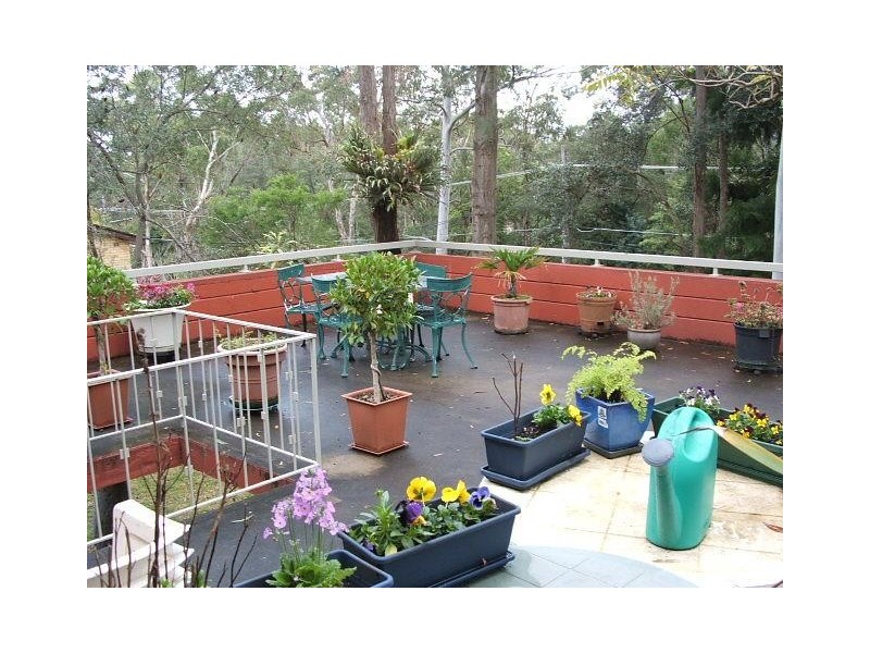 38 Castle Howard Road, Cheltenham NSW 2119