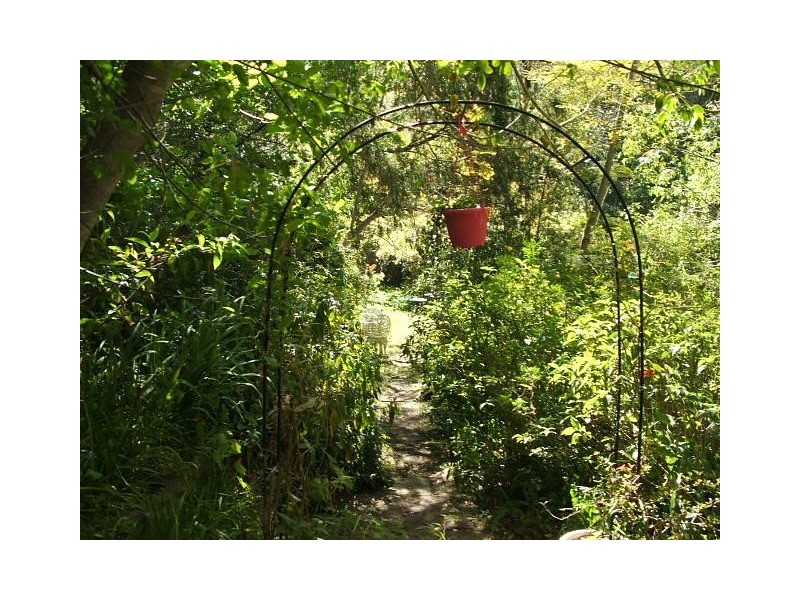 14 Argyll Place, Cheltenham NSW 2119