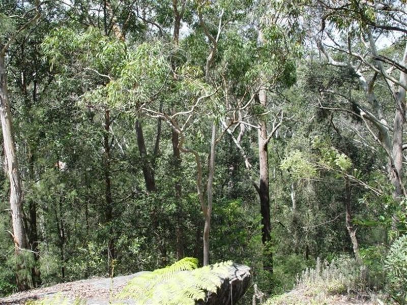 7 Timbertop Way, Beecroft NSW 2119