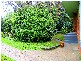 220 Beecroft Rd, Cheltenham NSW 2119