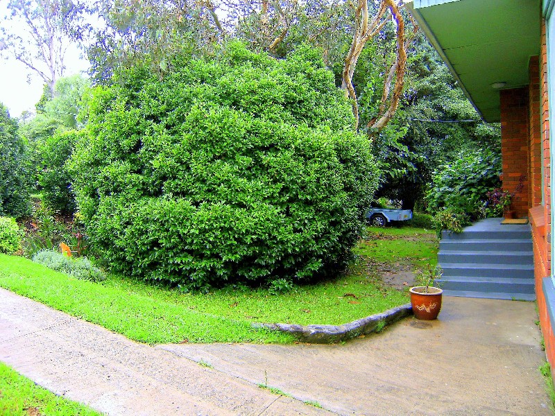 220 Beecroft Rd, Cheltenham NSW 2119