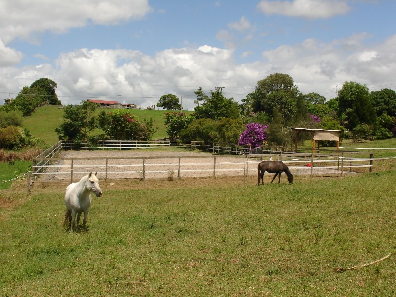 198 Tyagarah Road, Tyagarah NSW 2481