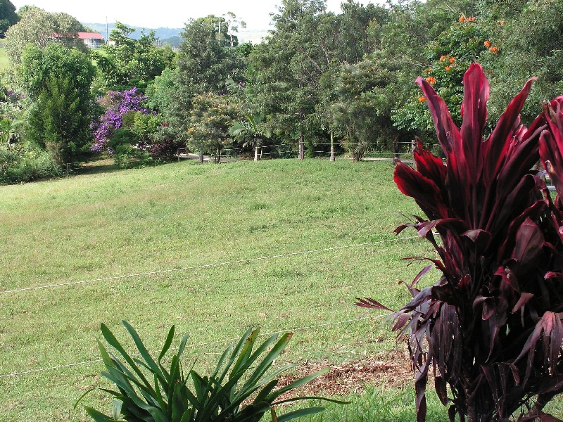 198 Tyagarah Road, Tyagarah NSW 2481