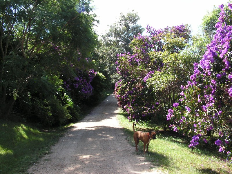 198 Tyagarah Road, Tyagarah NSW 2481