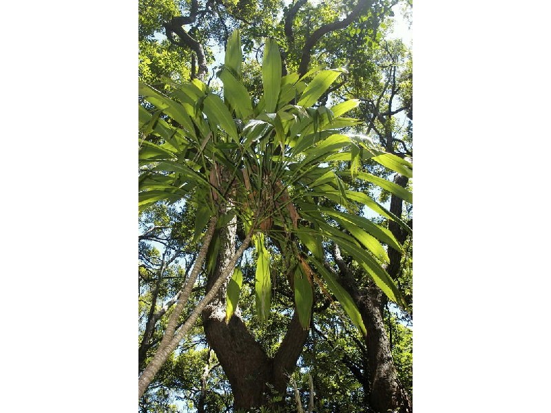 Lot 6 Broken Head Road, Broken Head NSW 2481