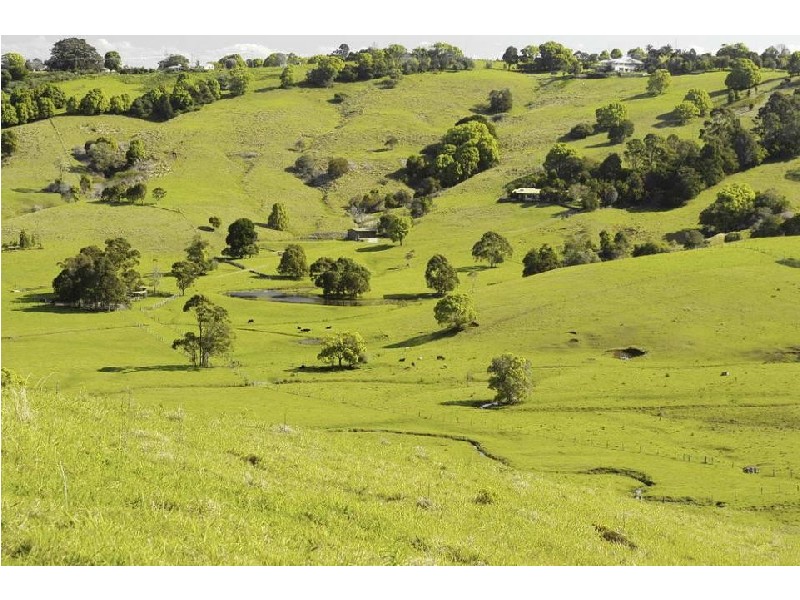 115 Martins Lane, Lennox Head NSW 2478