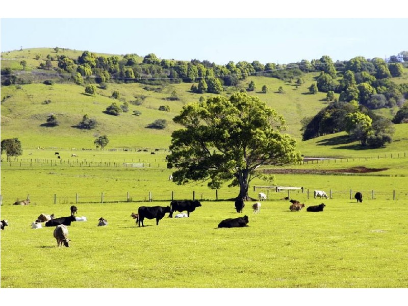 Byron Bay NSW 2481