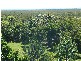 48 FigTree Hill Drive, Lennox Head NSW 2478