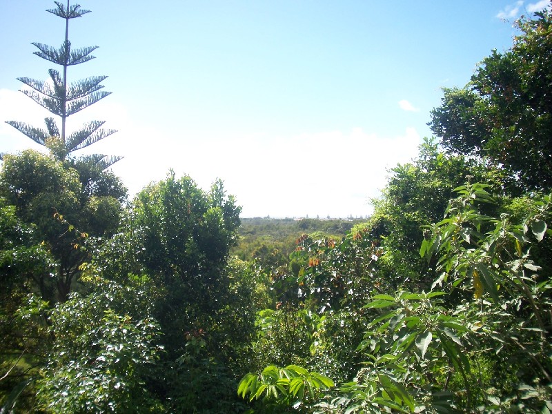 48 FigTree Hill Drive, Lennox Head NSW 2478