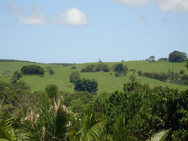 1 Campbell Street, Bangalow NSW 2479