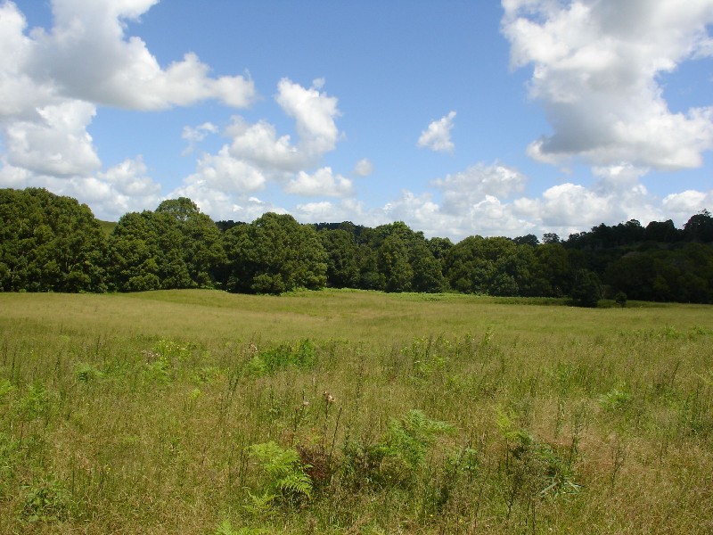 711 Bangalow Road, Bangalow NSW 2479