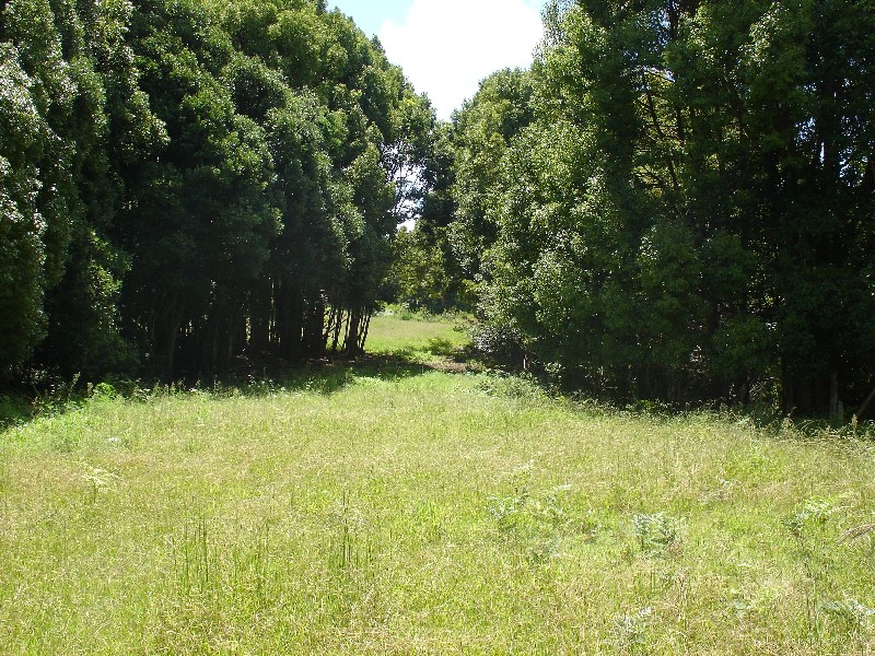 711 Bangalow Road, Bangalow NSW 2479