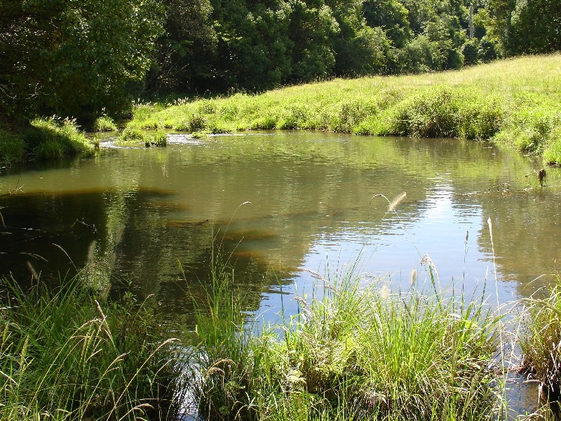 711 Bangalow Road, Bangalow NSW 2479