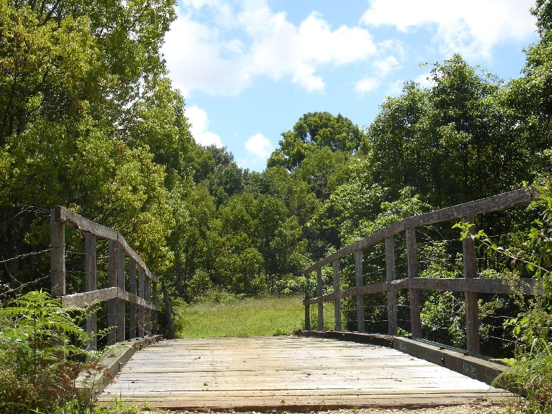 711 Bangalow Road, Bangalow NSW 2479