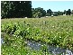 711 Bangalow Road, Bangalow NSW 2479