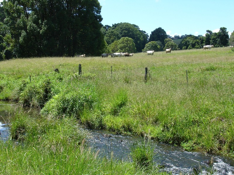 711 Bangalow Road, Bangalow NSW 2479