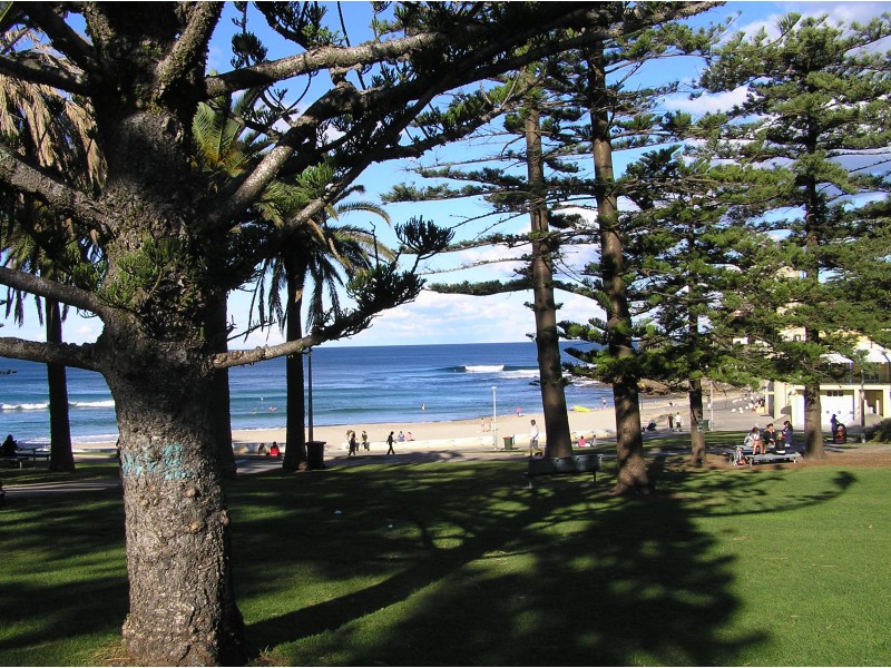 10/49 Gerrale Street, Cronulla NSW 2230