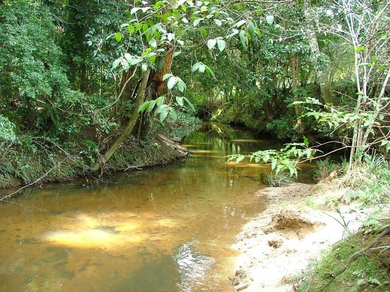 606 VALERY ROAD, Bellingen NSW 2454