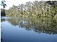 358 SOUTH ARM RD, Urunga NSW 2455