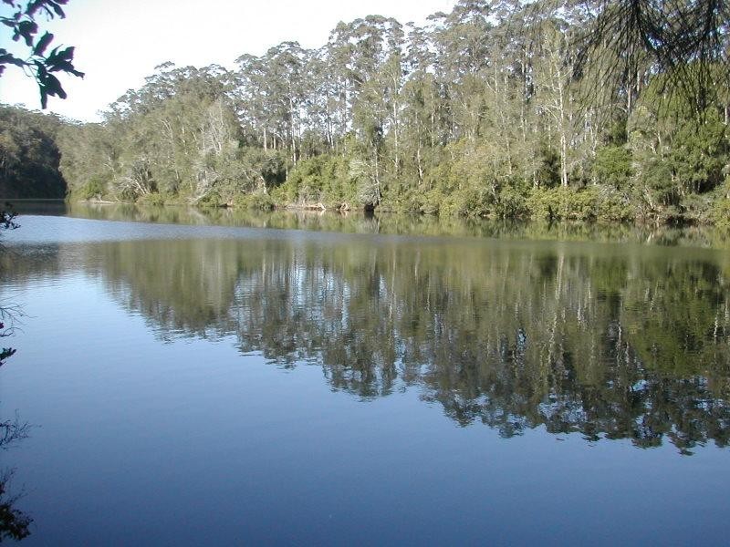358 SOUTH ARM RD, Urunga NSW 2455