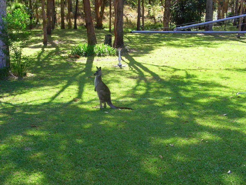 42 Wollumbin Drive, Urunga NSW 2455