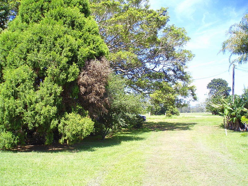 480 Yellow Rock Road, Raleigh NSW 2454